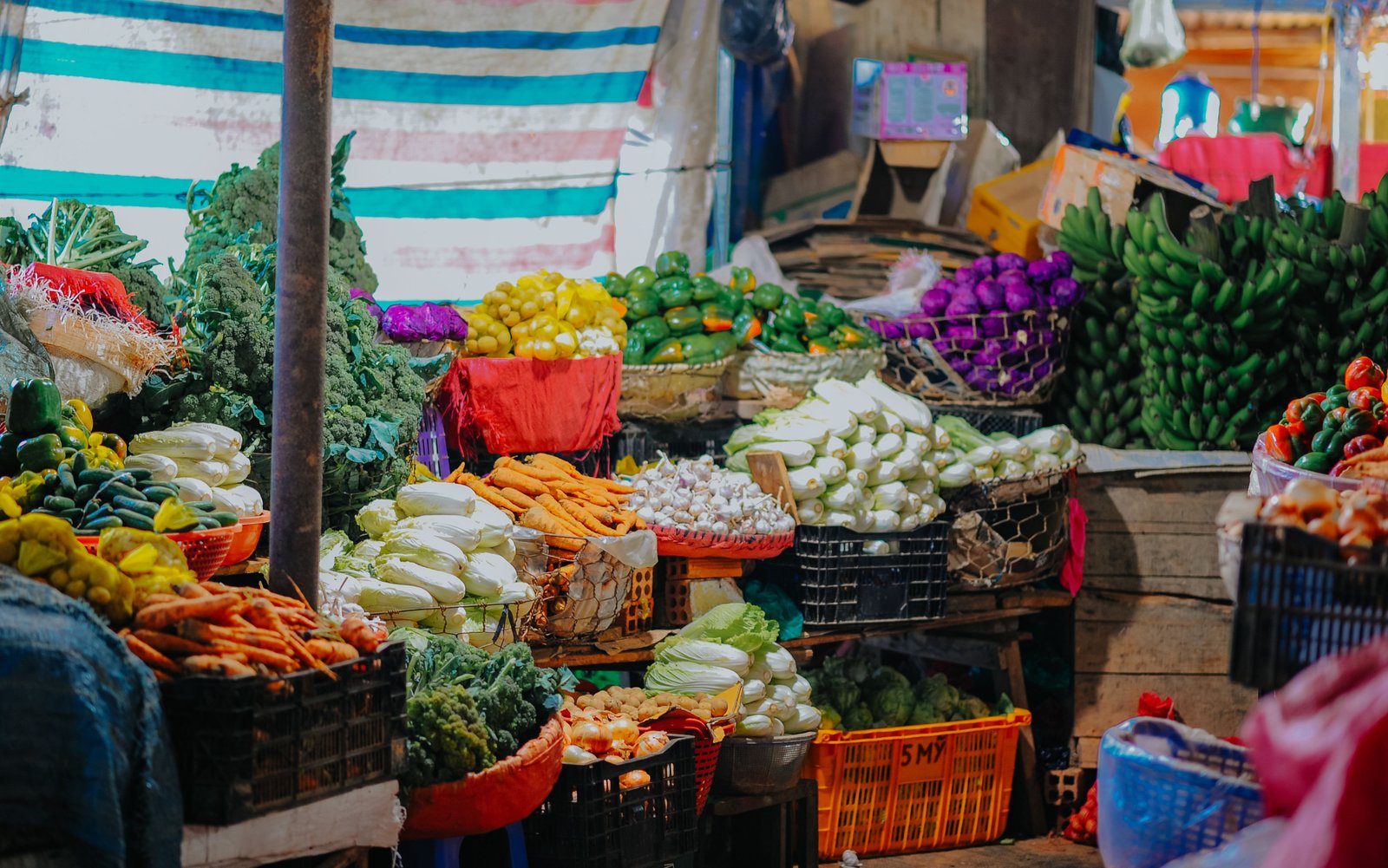 Fresh fruits and vegetables ready for export